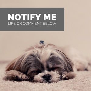 LIKE OR COMMENT BELOW TO GET NOTIFIED FIRST!